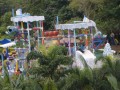 Tn DSC 4387